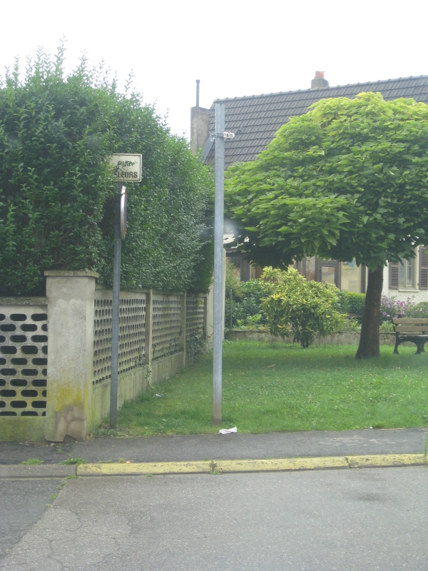 Photo 001