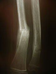 Radiology_1300221
