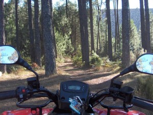 quad