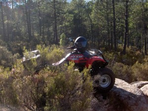 quad3